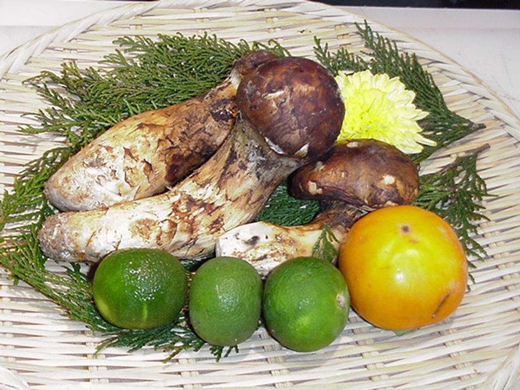 Noda  Kappo Ryokan Suimeisou المظهر الخارجي الصورة